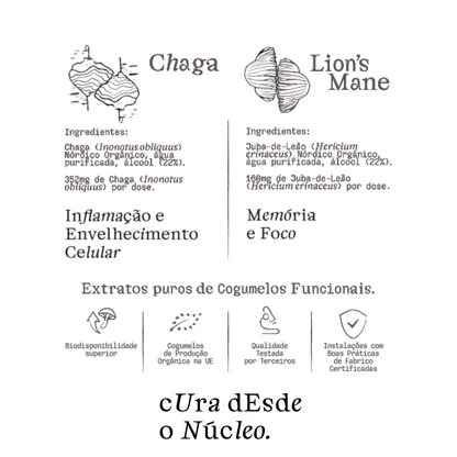 Chaga & Lion's Mane - Synergistic Mushroom Duo