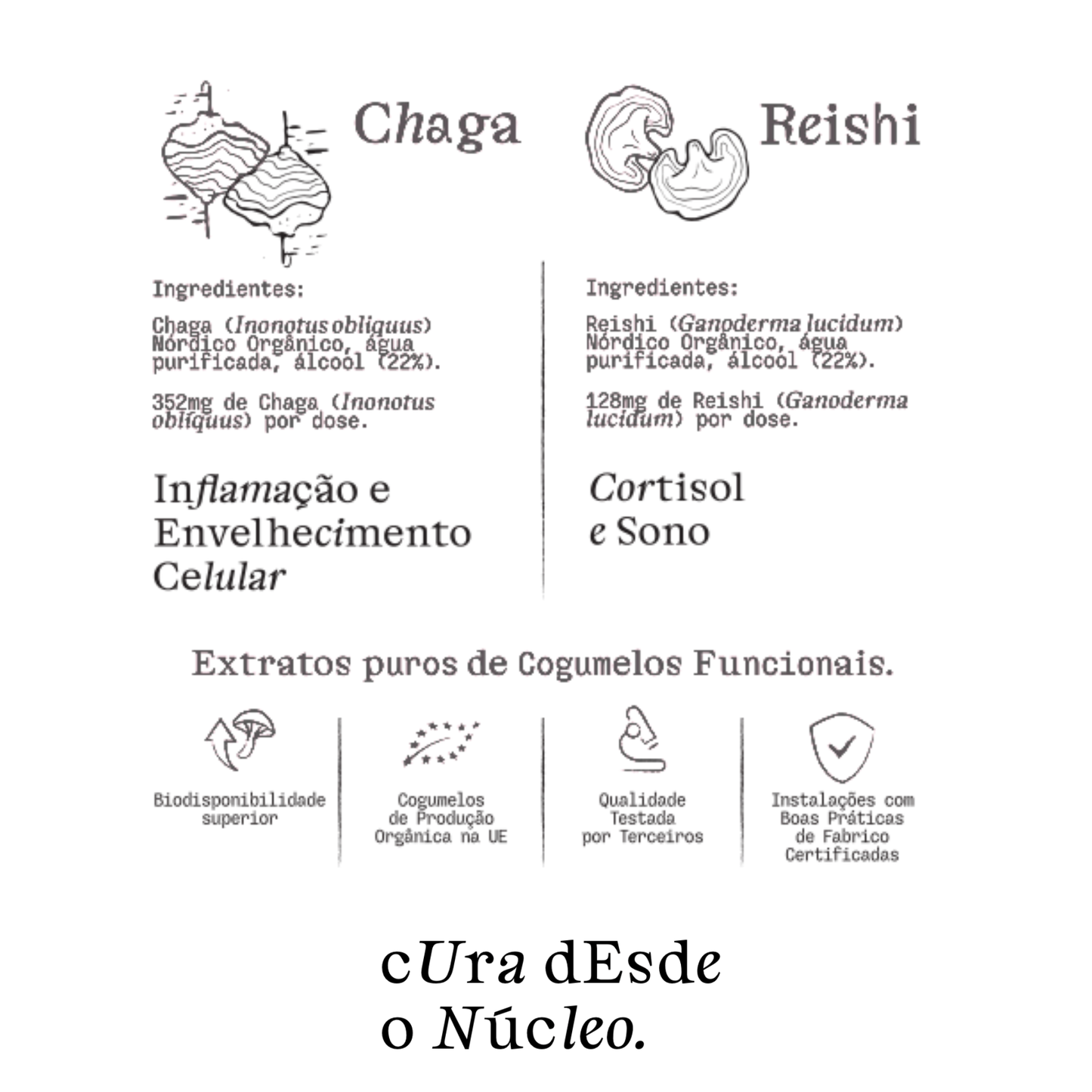 Chaga & Reishi - Synergistic Mushroom Duo