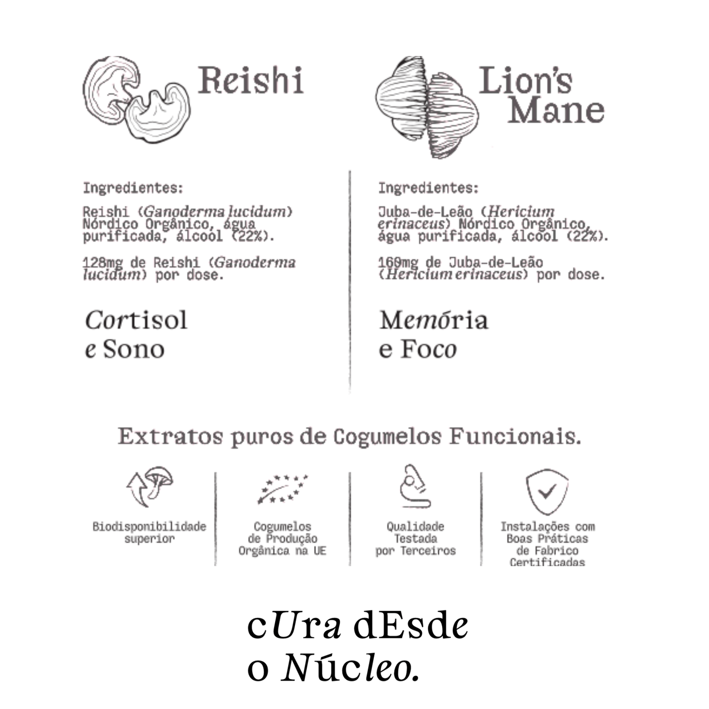 Reishi e Lion’s Mane - Duo de Cogumelos Sinérgico